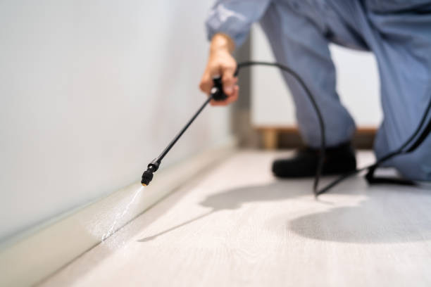 Bed Bug Pre-Treatment Preparation Assessment in North Zanesville