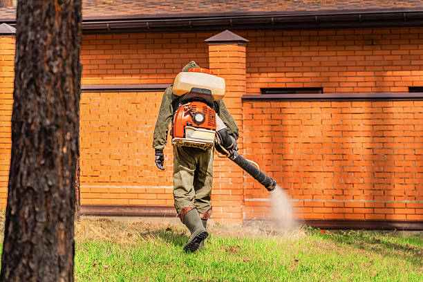 Bed Bug Clearance Verification and Documentation in North Zanesville